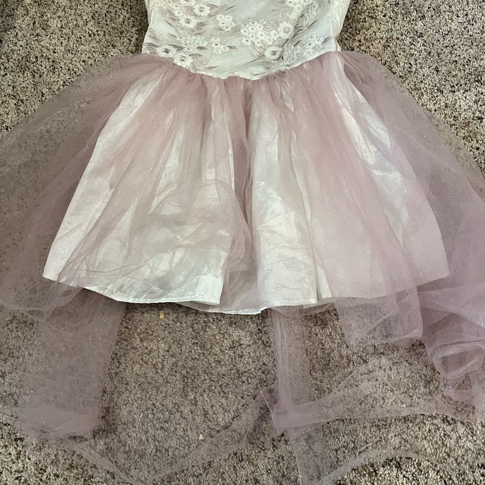 Floral Lace and Tulle Dress